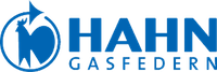 HAHN logo