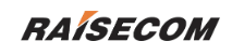 RAISECOM logo